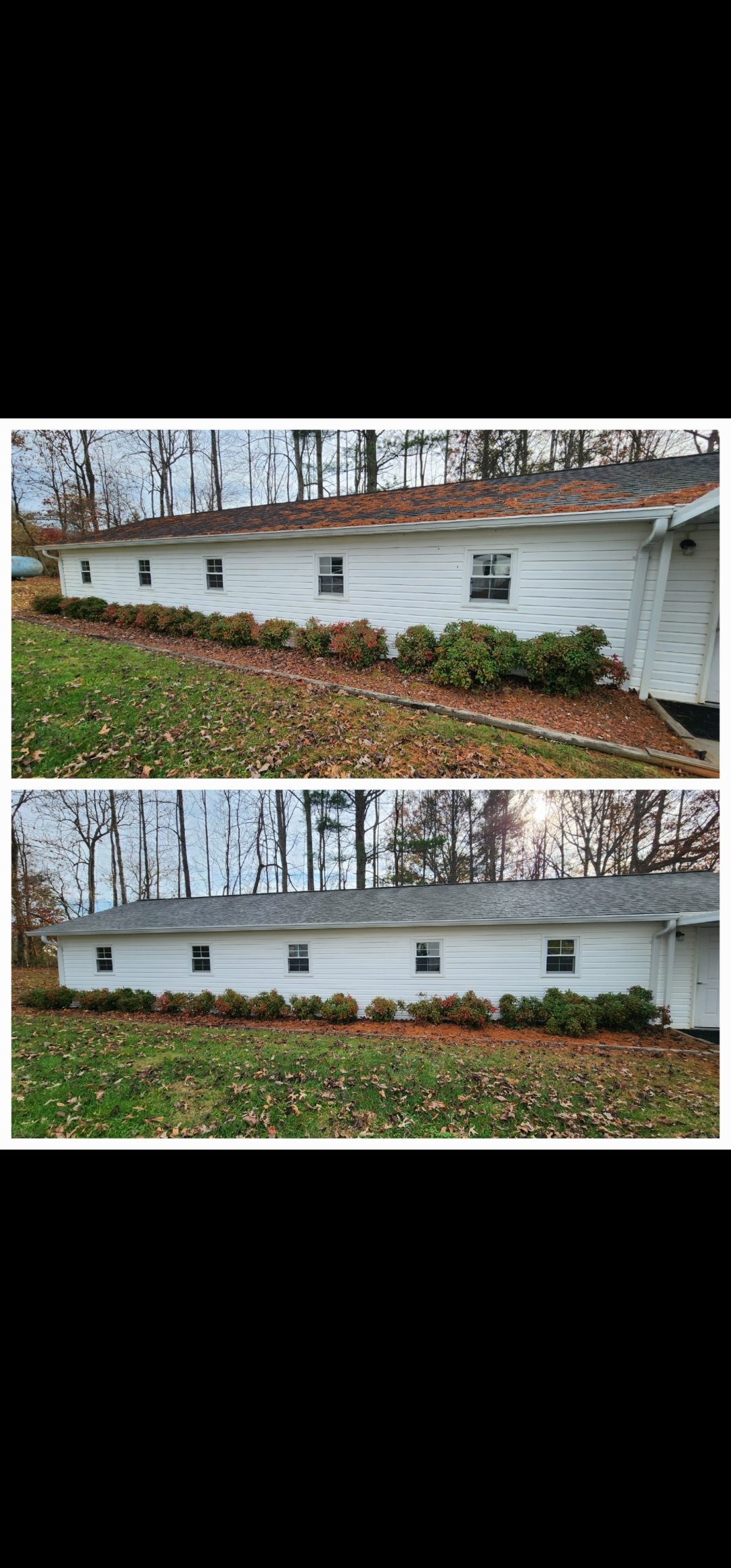 House wash,gutter cleaning and roof washing in traphill 