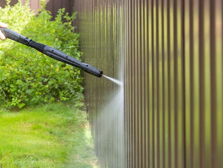 Fence Cleaning