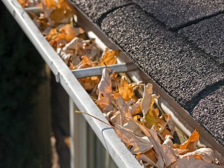 Gutter Cleaning