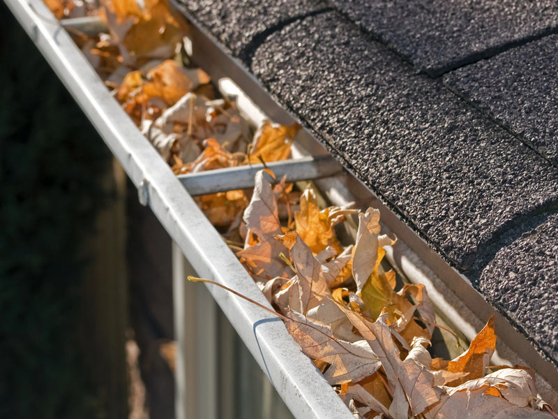 Gutter Cleaning Service Image